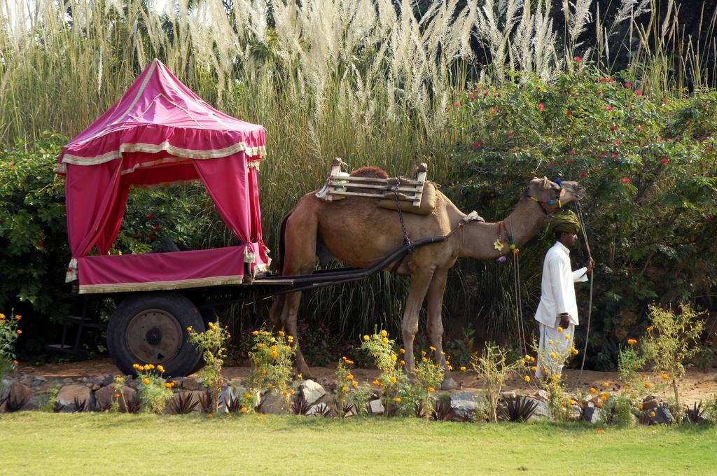 Pushkar Resort Exterior photo