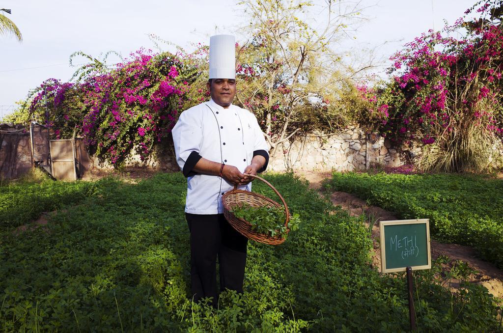 Pushkar Resort Exterior photo