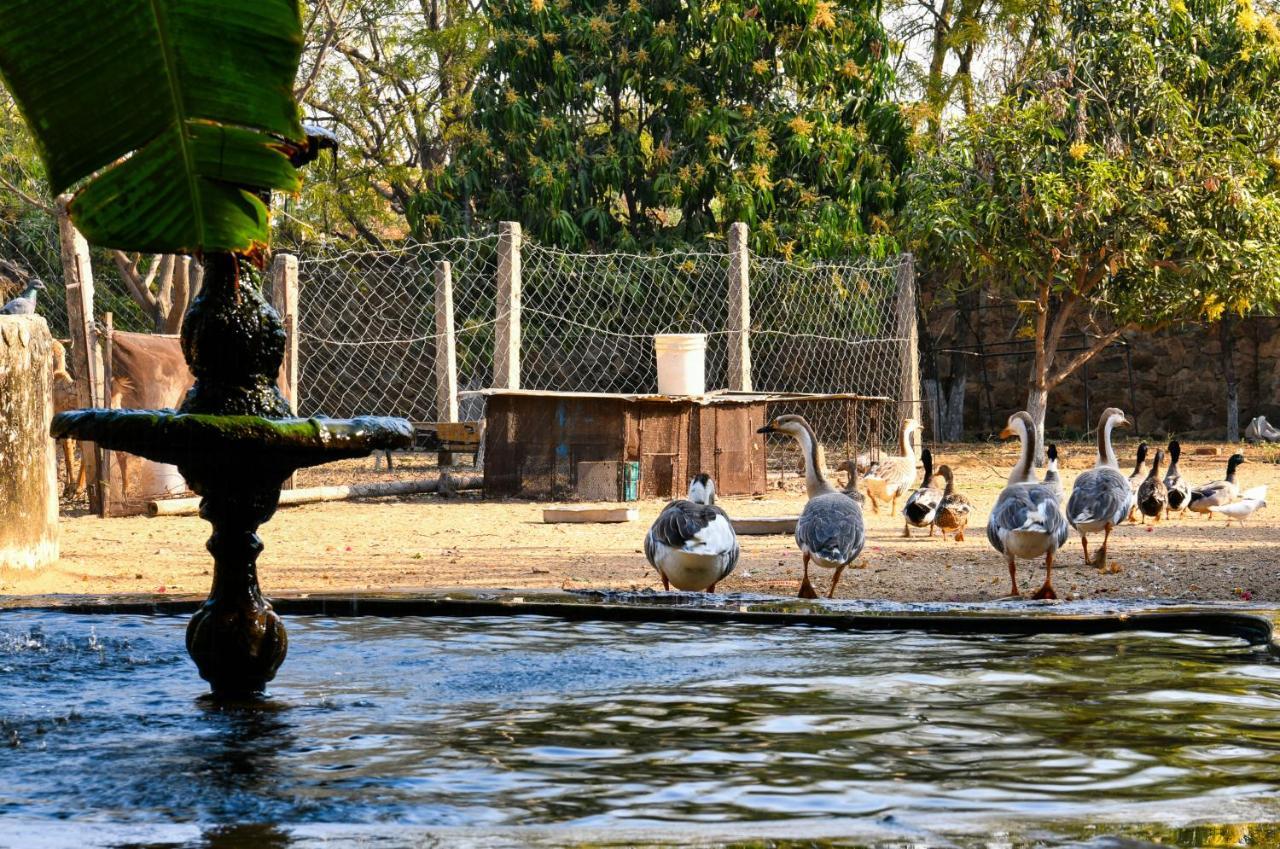 Pushkar Resort Exterior photo